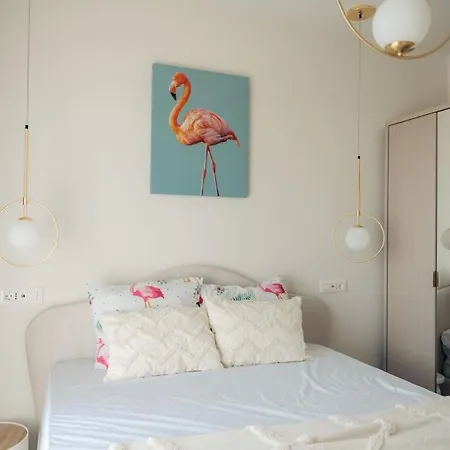 House Flamingo Daire *
