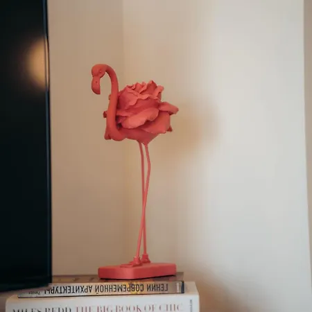 House Flamingo Daire